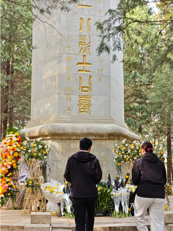 6ce058a29ed24dc599d95a06d5ddcf2f.png image.png